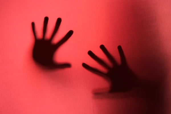 Sex Crimes (Sexual Assault, Indecency with a Child)